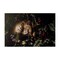 Stupell Industries Cuddling Lions Among Leaves Canvas Wall Art Design by Reinders